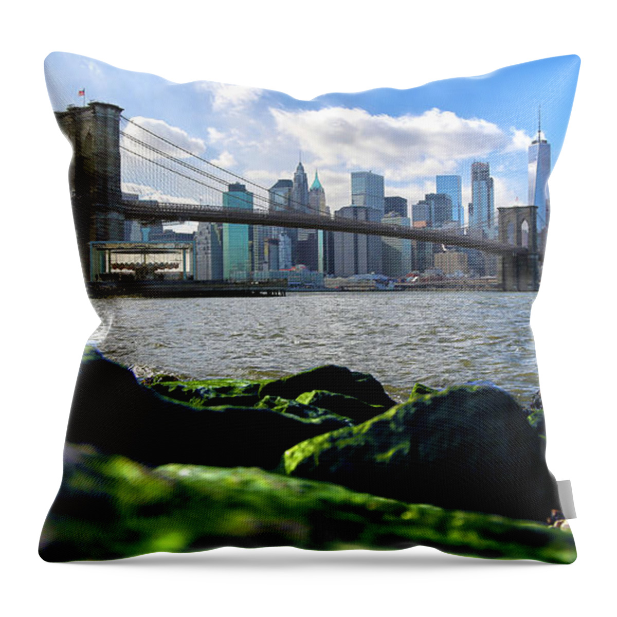 Manhattan Throw Pillow featuring the photograph Skyline by Mitch Cat