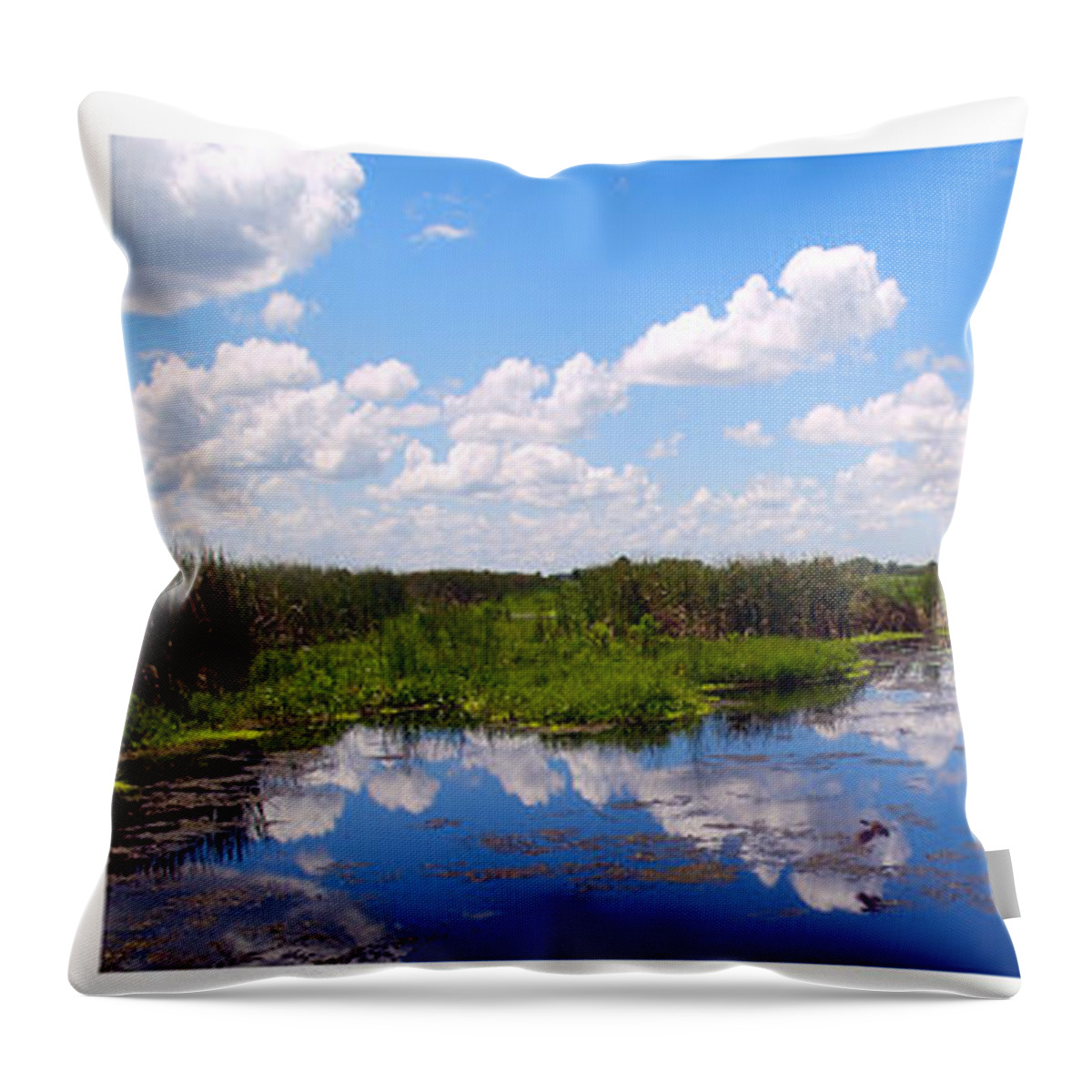 Art Throw Pillow featuring the photograph Skyscape Reflections Blue Cypress Marsh Florida Collage 1 by Ricardos Creations