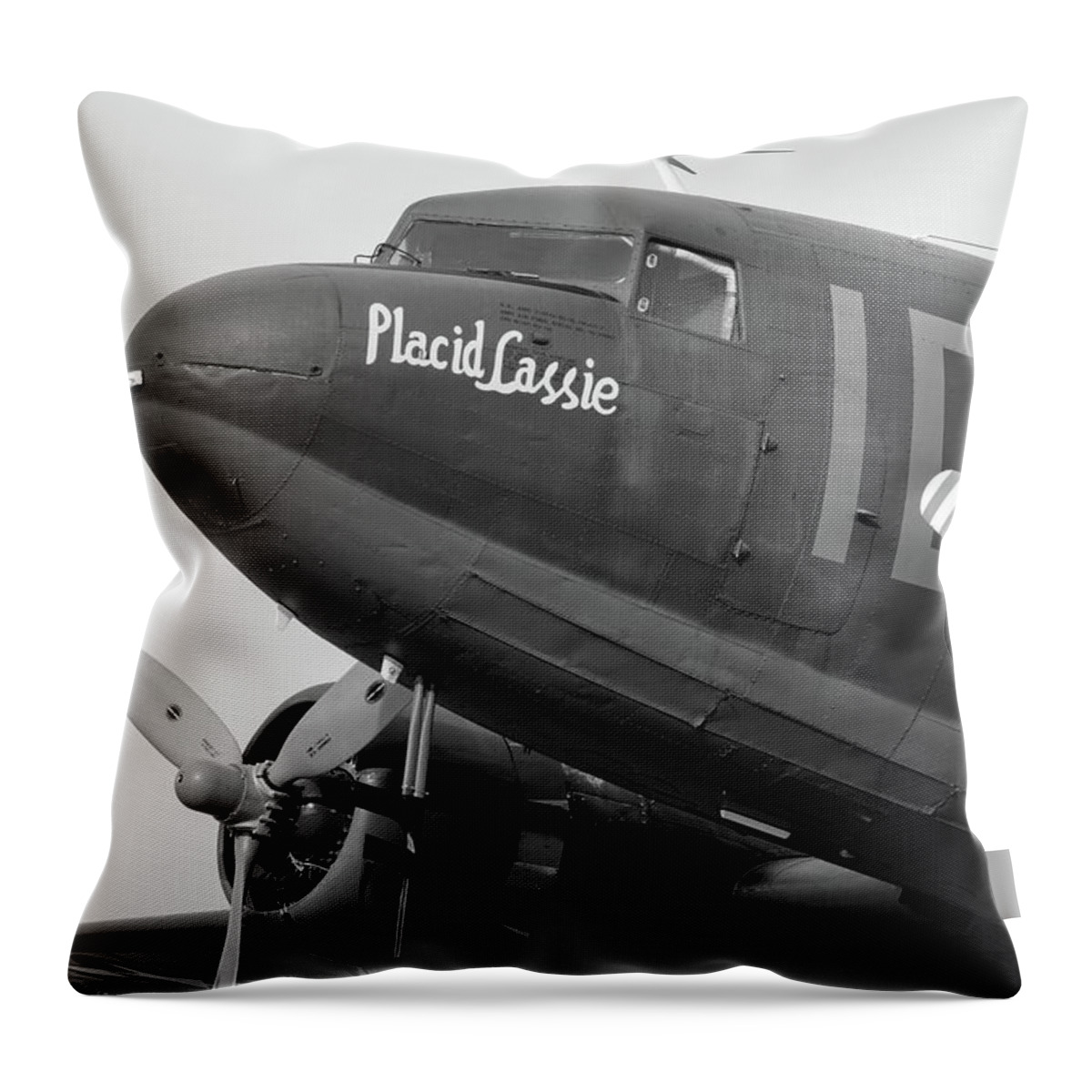Black Throw Pillow featuring the photograph Skytrain in Black and White - 2017 Christopher Buff, www.Aviationbuff.,com by Chris Buff