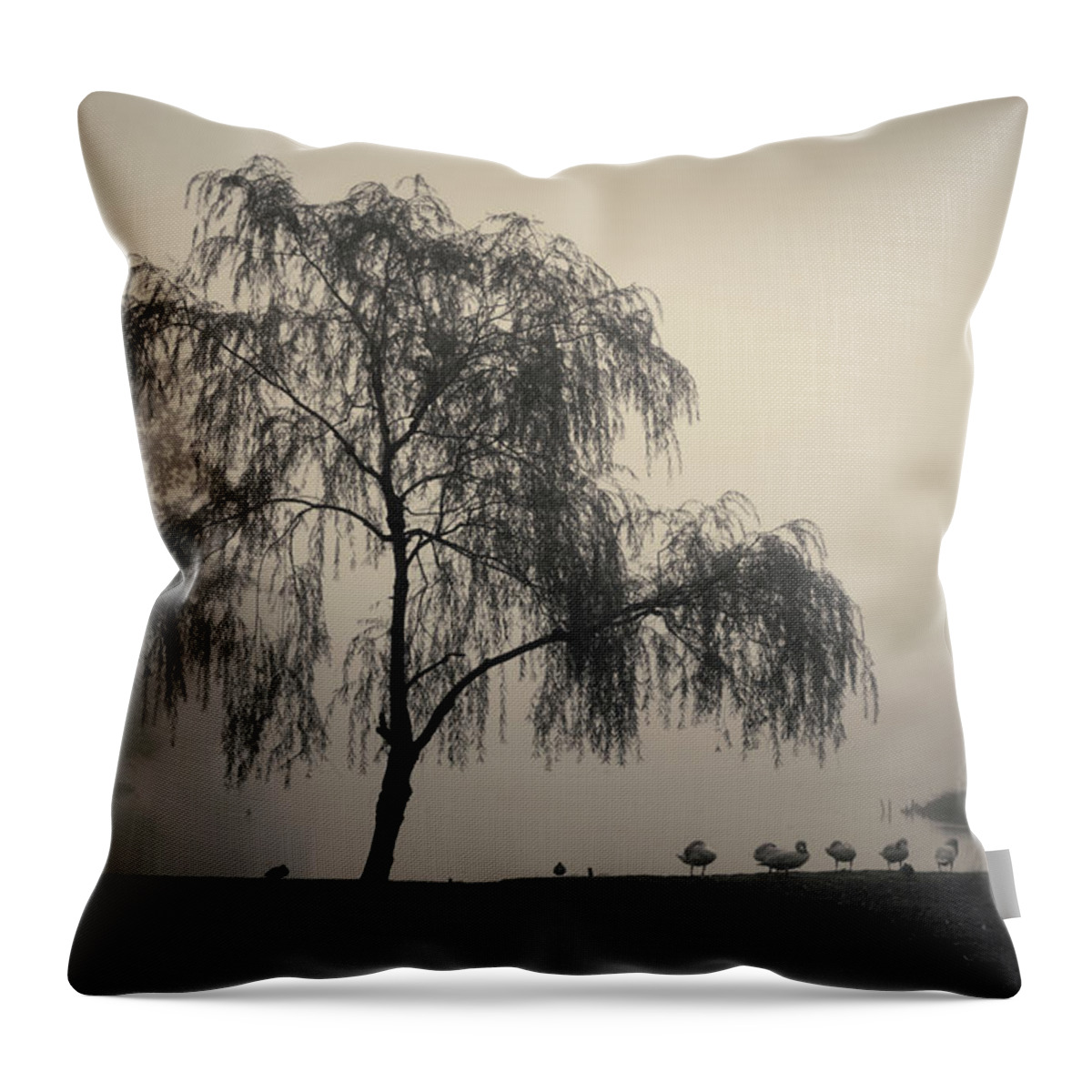Slater Throw Pillow featuring the photograph Slater Park Landscape No. 1 by David Gordon