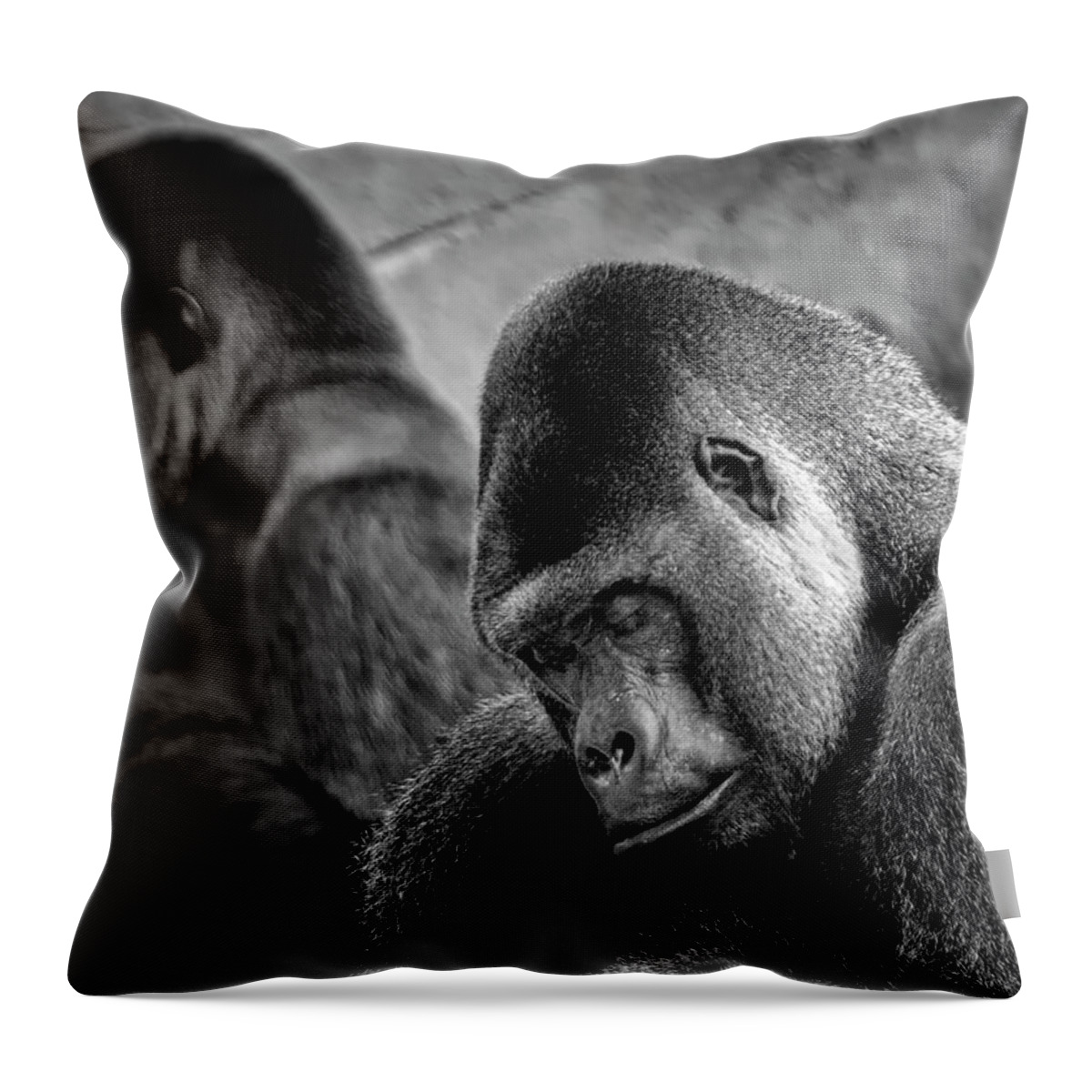 Sleeping Throw Pillow featuring the photograph Sleeping Giant by Bill Dodsworth