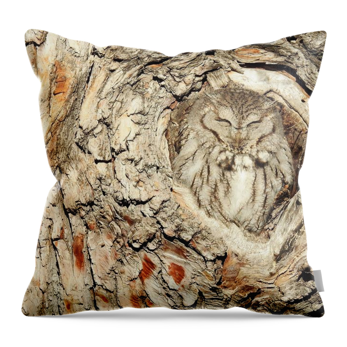 Owl Throw Pillow featuring the photograph Sleeping In by Nicole Belvill