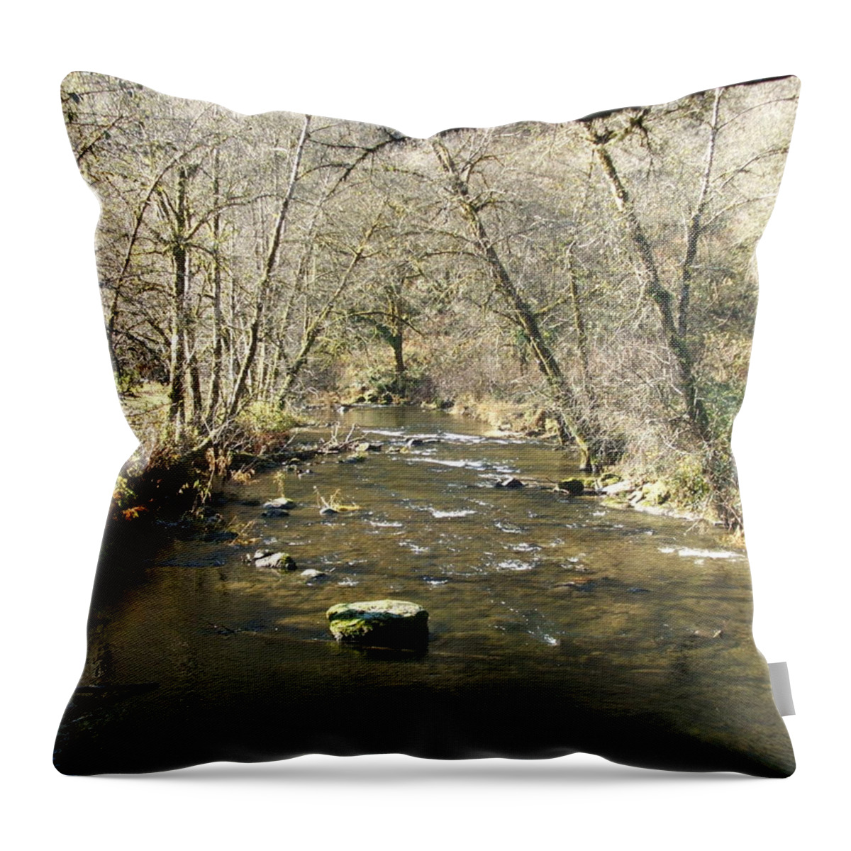 River Throw Pillow featuring the photograph Sleepy Creek by Shari Chavira