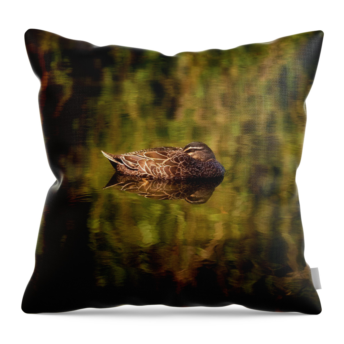 Mad About Wa Throw Pillow featuring the photograph Sleepy Duck, Yanchep National Park by Dave Catley