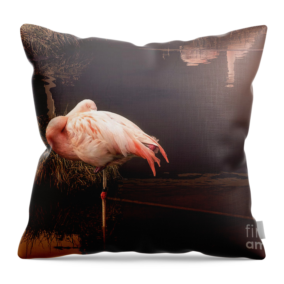 Photoshop Throw Pillow featuring the photograph Sleepy Flamingo by Melissa Messick