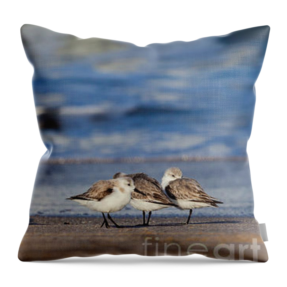 Sleepy Shorebirds Throw Pillow featuring the photograph Sleepy Shorebirds by Michelle Constantine