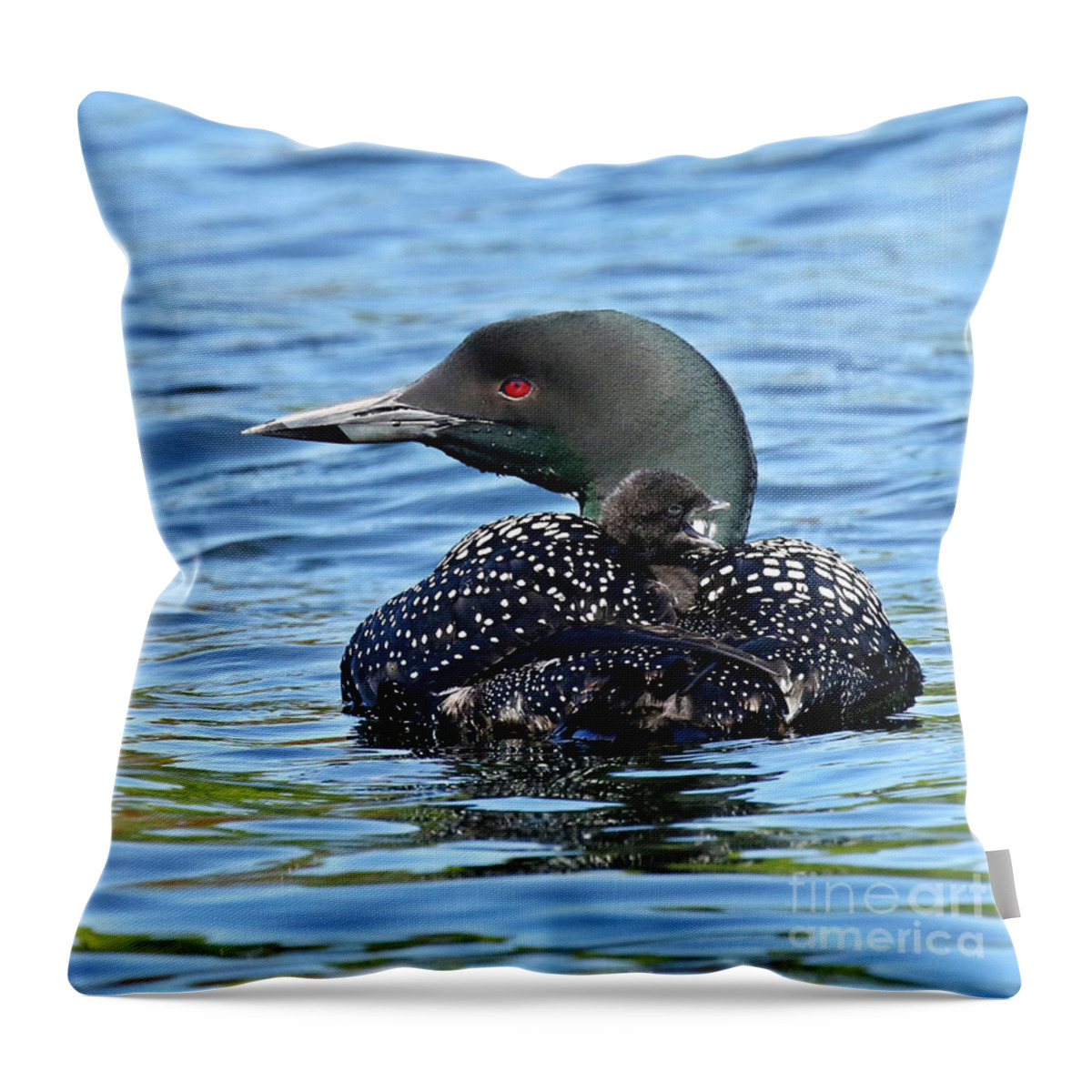 Loon Throw Pillow featuring the photograph Sleepy time baby loon by Heather King