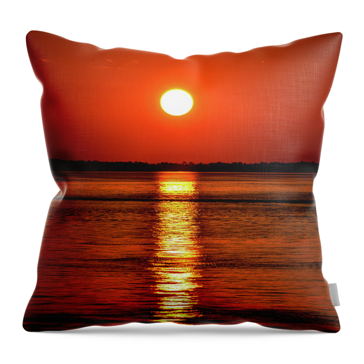 Alabama Throw Pillow featuring the photograph Slice of Orange by Michael Thomas