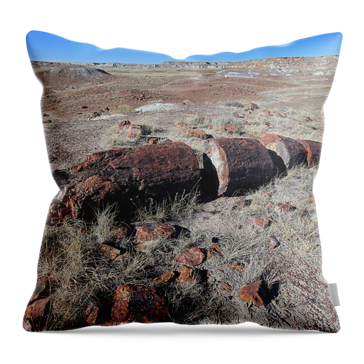 Landscape Throw Pillow featuring the photograph Sliced not Diced by Gary Kaylor