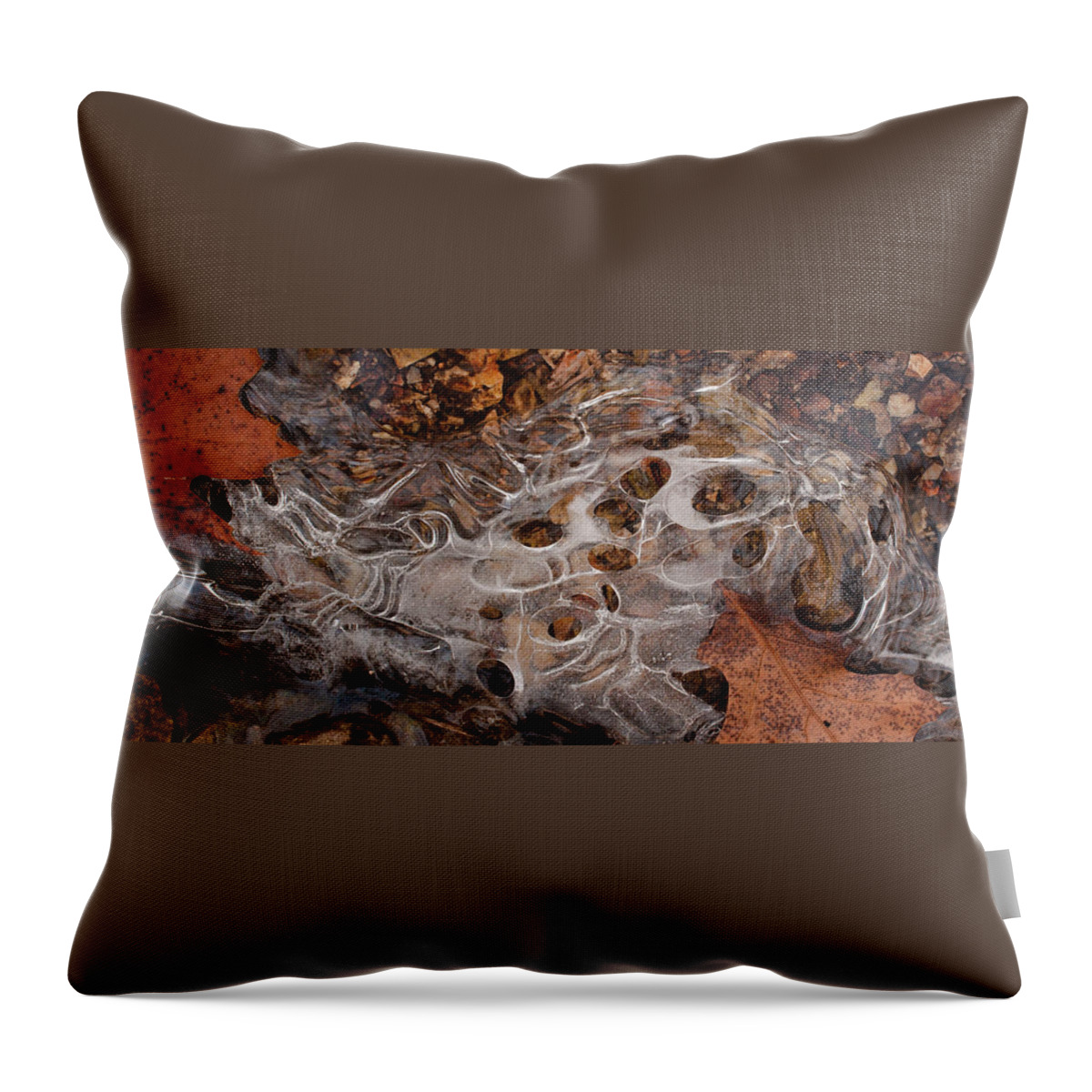 Ice Throw Pillow featuring the photograph Slim Thaw by Grant Groberg