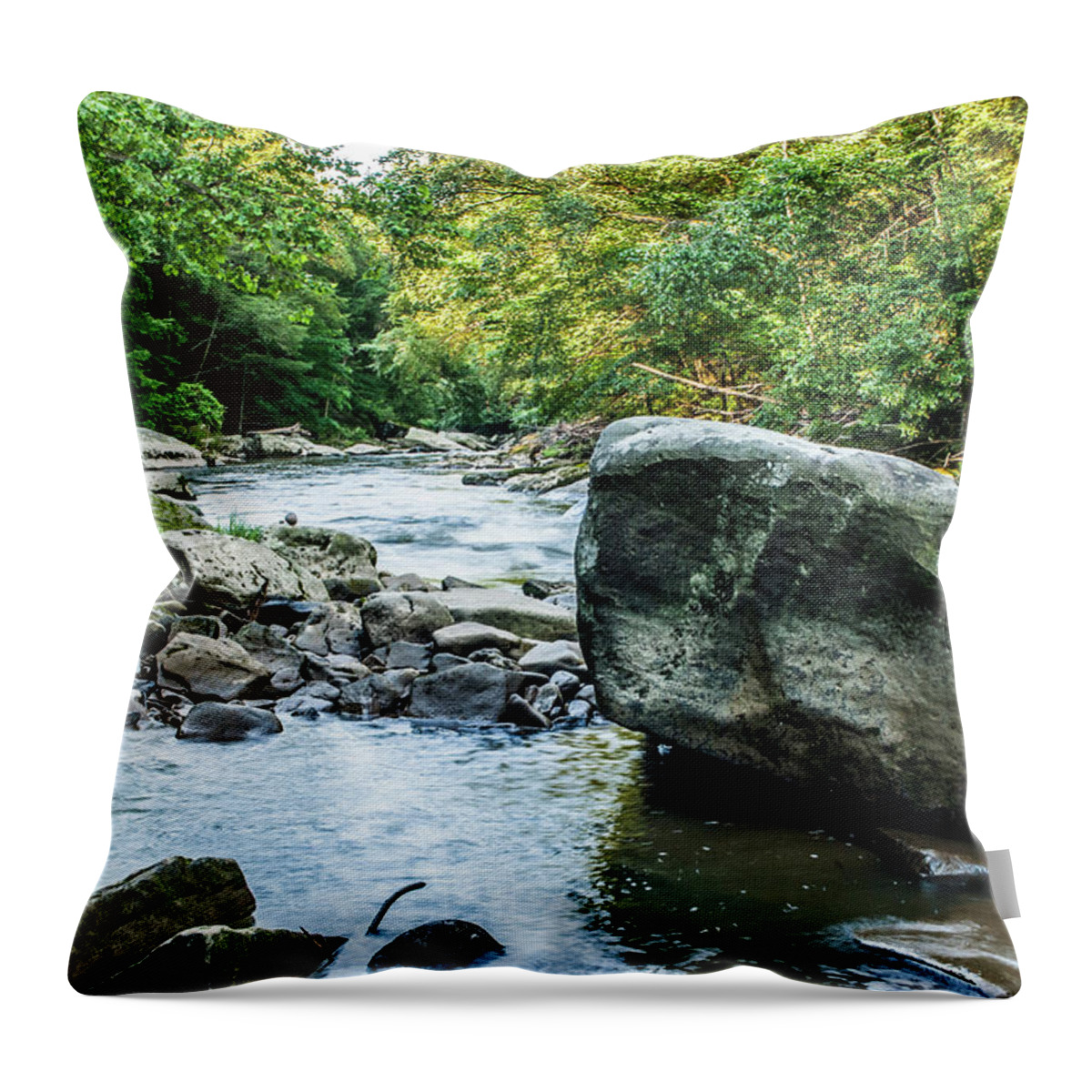 Water Throw Pillow featuring the photograph Slippery Rock Gorge - 1918 by Gordon Sarti