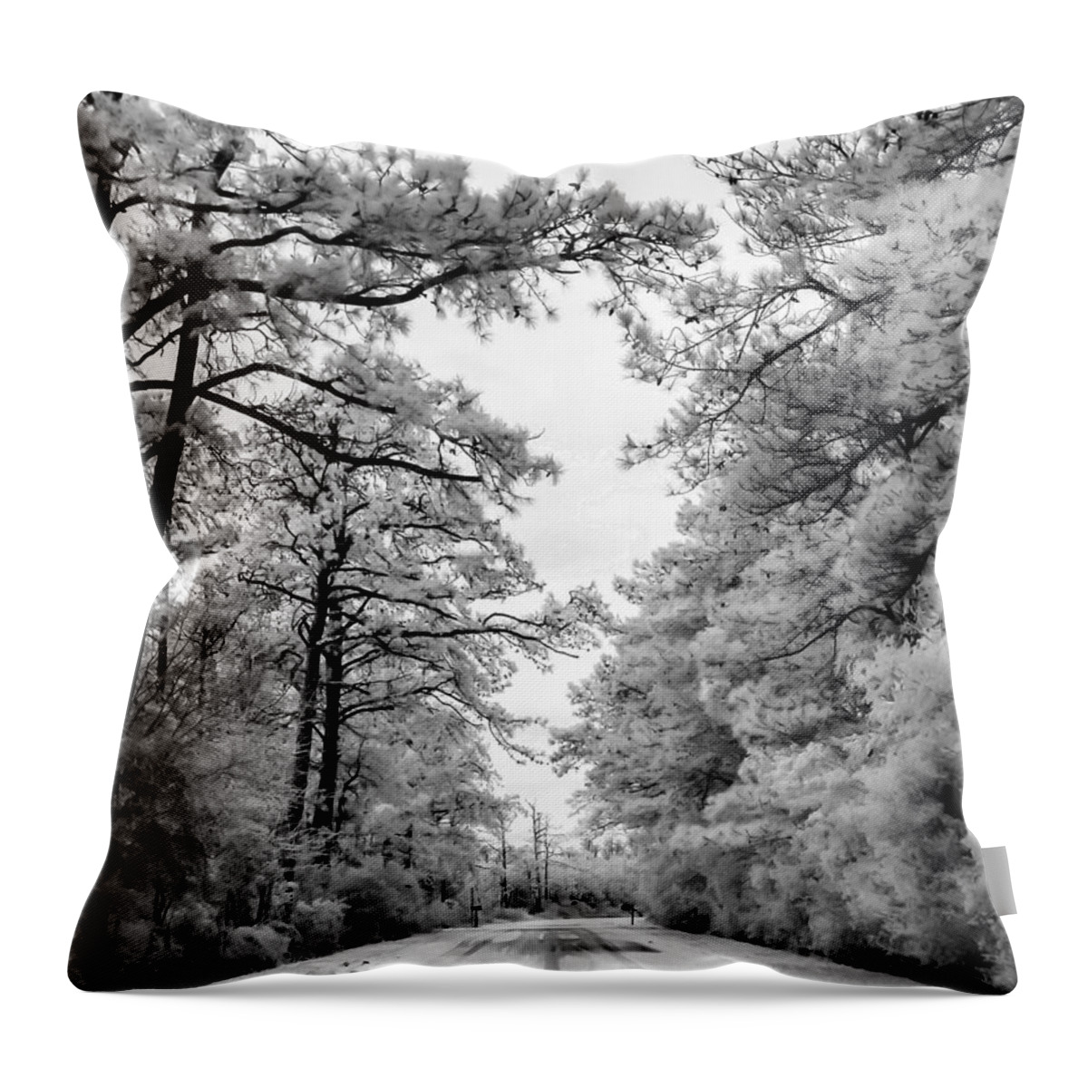 Road Throw Pillow featuring the photograph Slippery When Frozen by Hayden Hammond