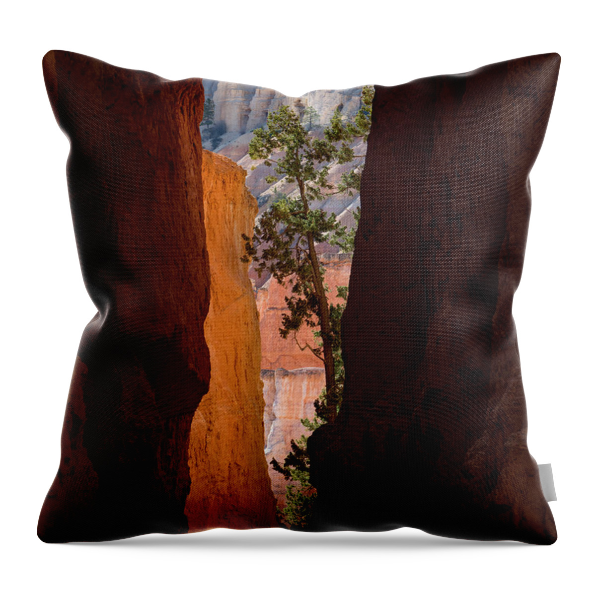 Bryce Canyon National Park Throw Pillow featuring the photograph Sliver of Bryce by Emily Dickey