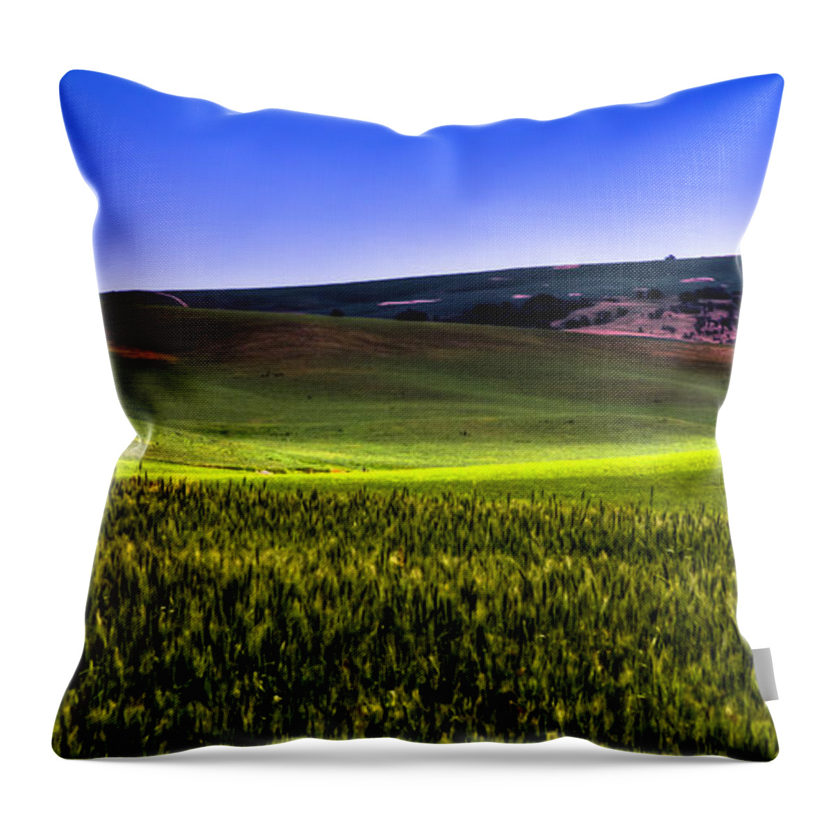 Bearded Wheat Throw Pillow featuring the photograph Sliver of Sunlight on the Palouse Hills by David Patterson