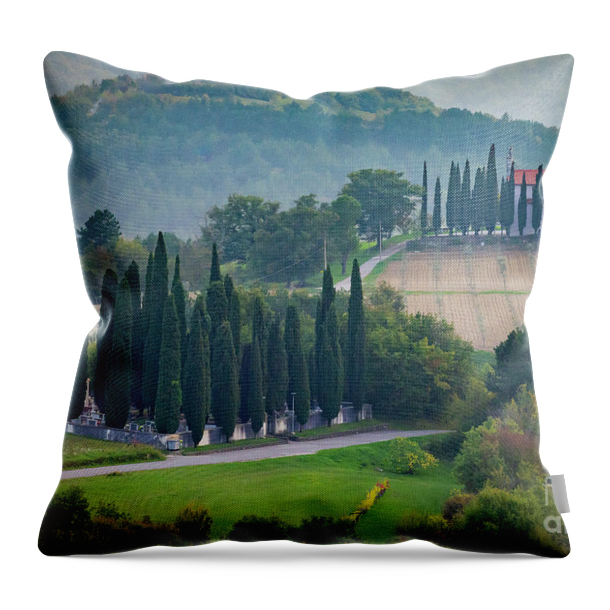 Landscape Throw Pillow featuring the photograph Slovenia by Barry Bohn