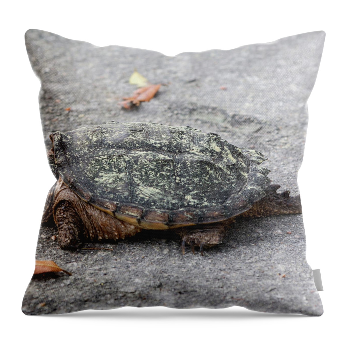 Turtle Throw Pillow featuring the photograph Slow Crossing 3 March 2018 by D K Wall