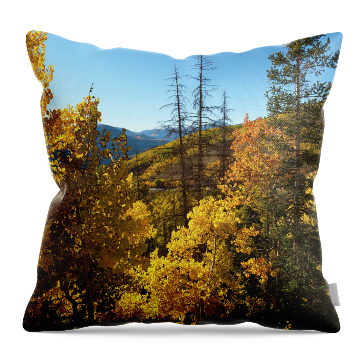 Slumgullion Pass Throw Pillow featuring the photograph Slumgullion Pass Autumn Landscape by Cascade Colors