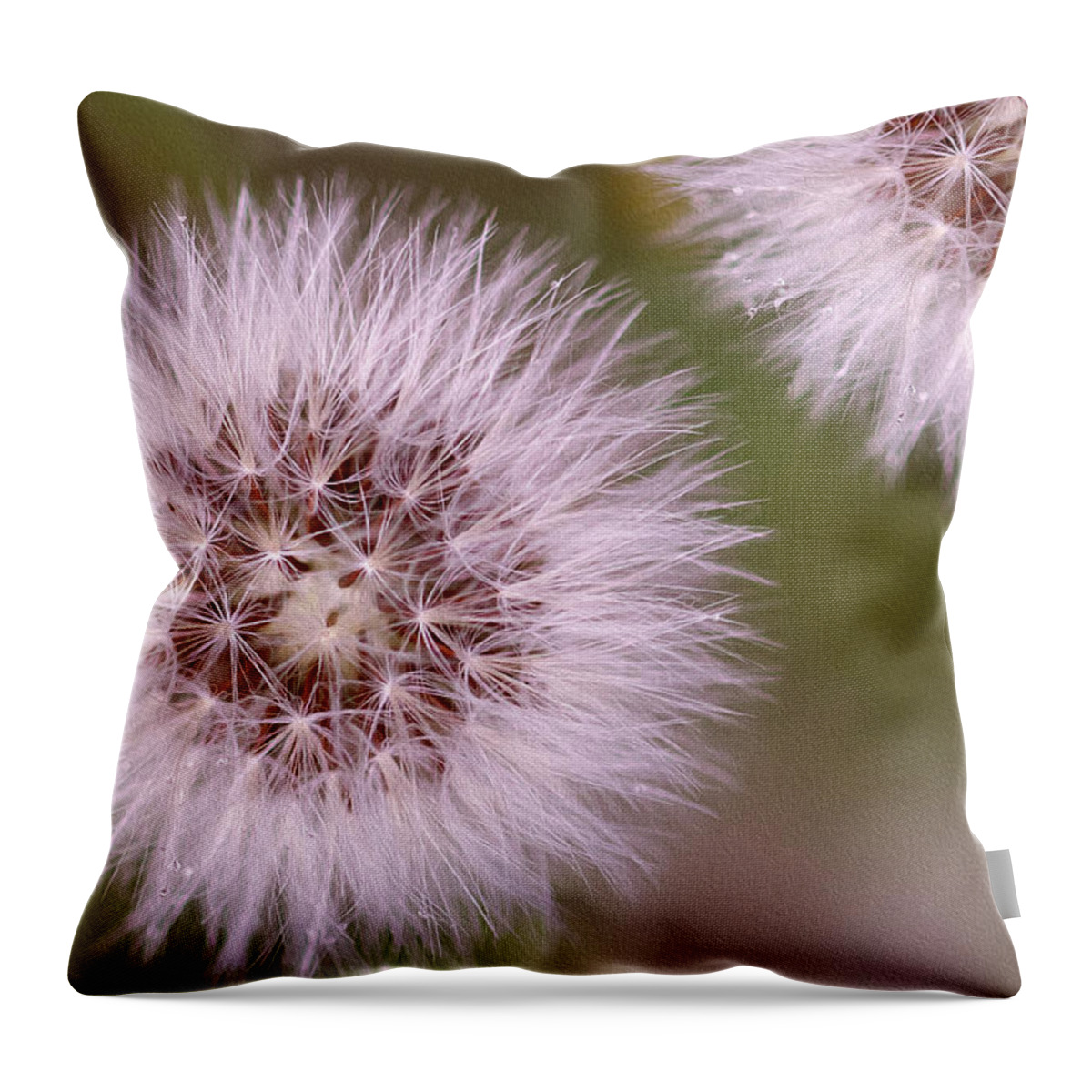 Seeds Throw Pillow featuring the photograph Small acts by Vanessa Thomas