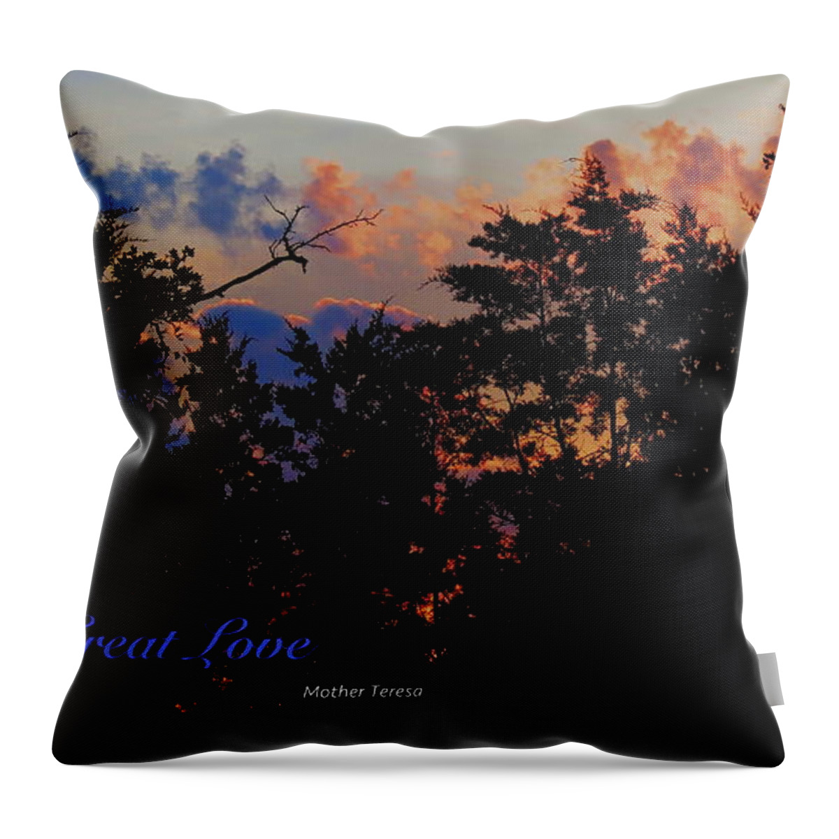  Throw Pillow featuring the photograph Small Counts by David Norman