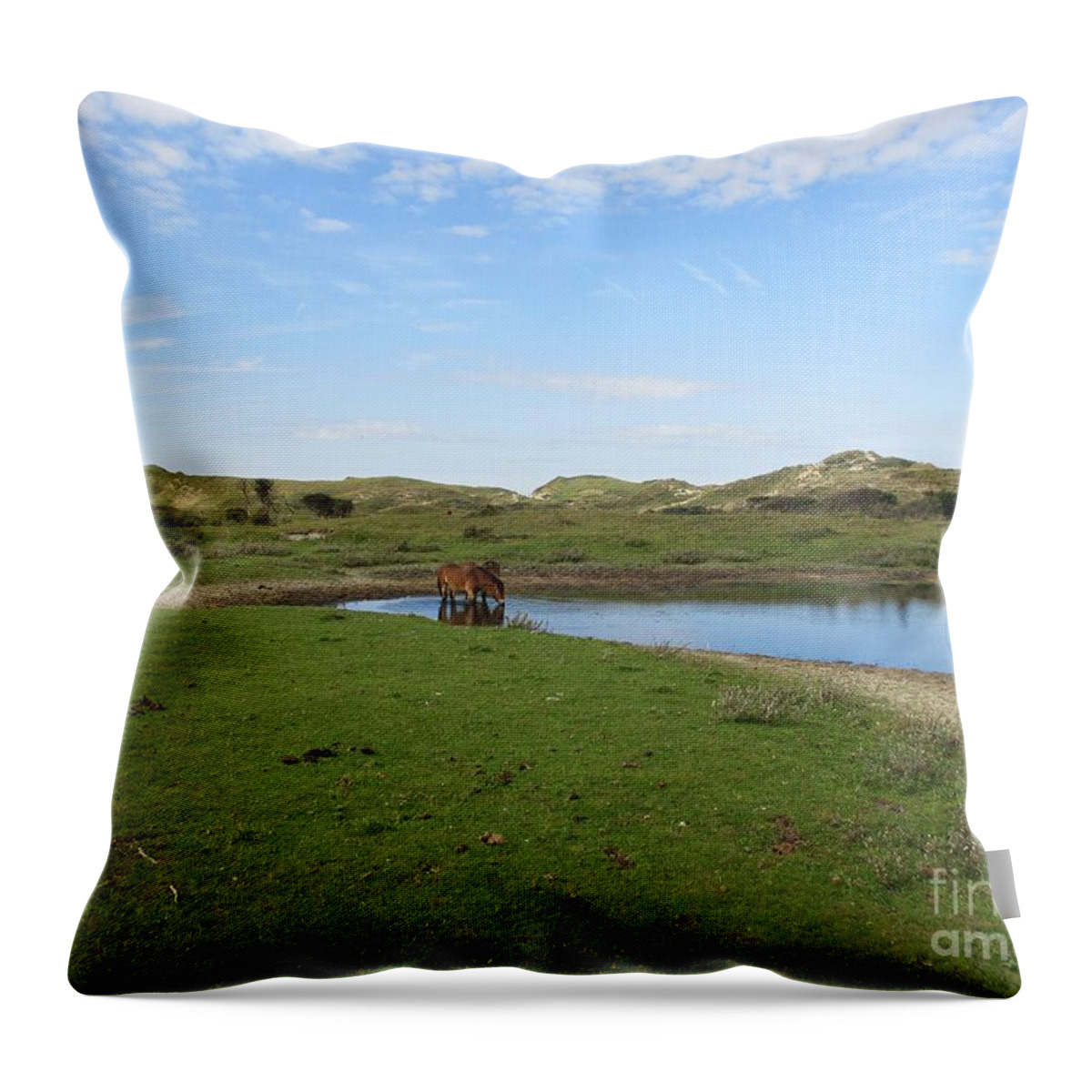 Noordhollandse Duinreservaat Throw Pillow featuring the photograph Small lake with wild horses by Chani Demuijlder