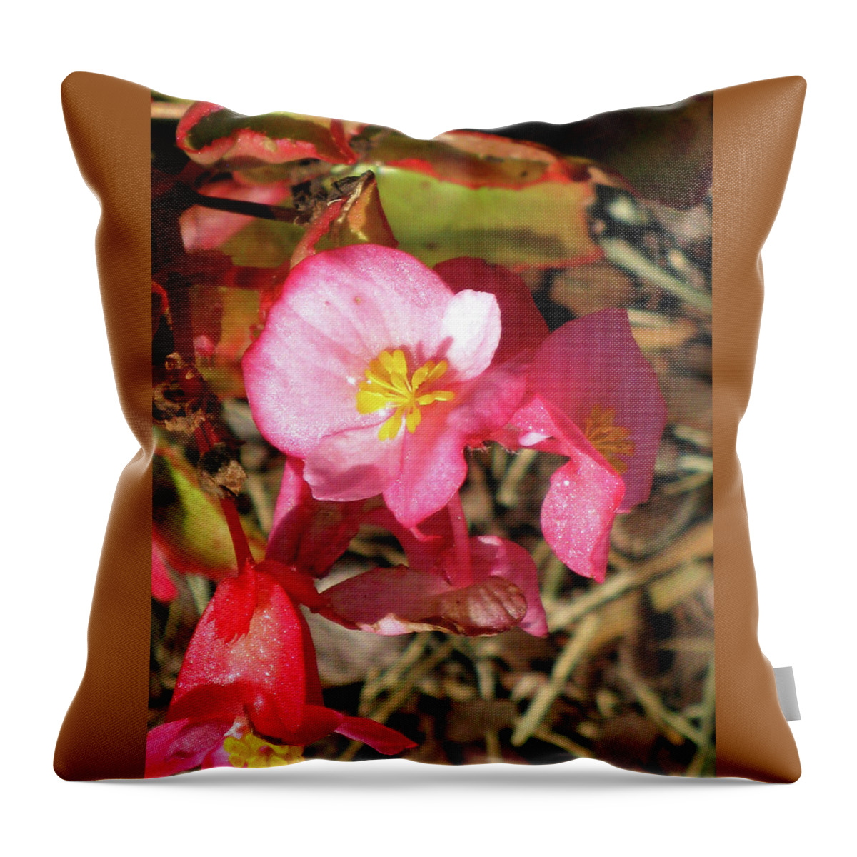 Nature Throw Pillow featuring the photograph Small Pink Flowers of Summer by Michele Wilson