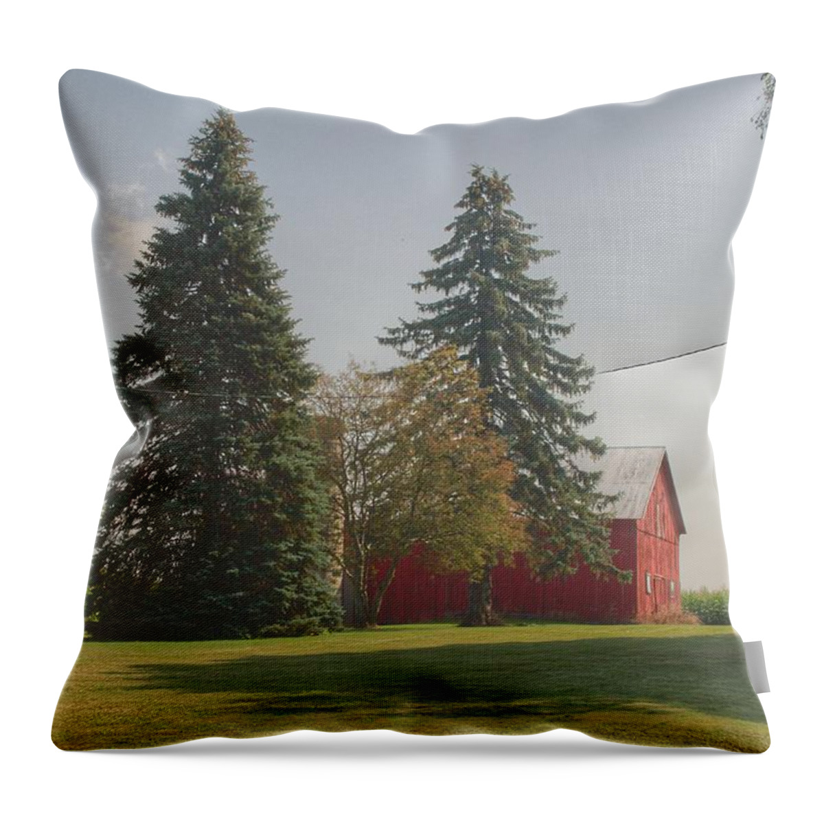 Barn Throw Pillow featuring the photograph 0045 - Small Red Barn Beneath the Pines by Sheryl L Sutter
