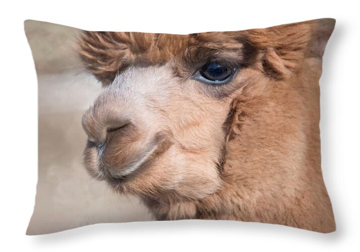 Alpaca Throw Pillow featuring the photograph Smile by Robin-Lee Vieira