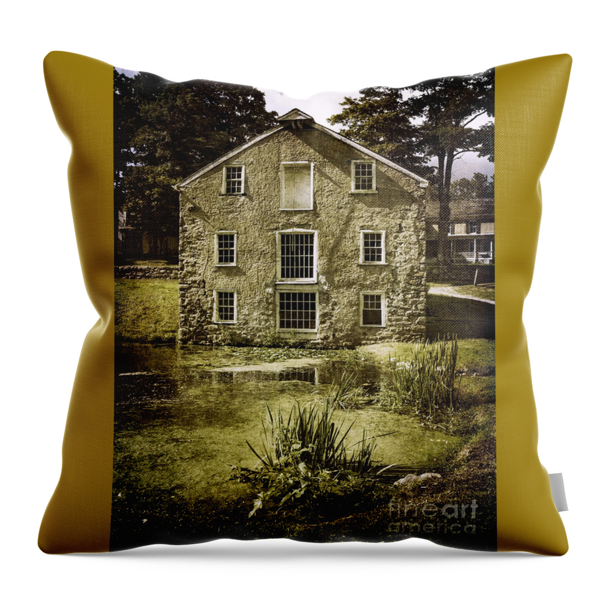Architecture Throw Pillow featuring the photograph Smith's Store by Debra Fedchin