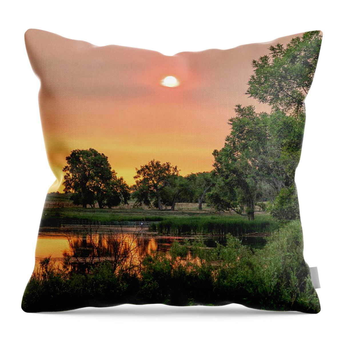 Sunrise Throw Pillow featuring the photograph Smoke Makes for a Nice Sunrise by Tony Hake