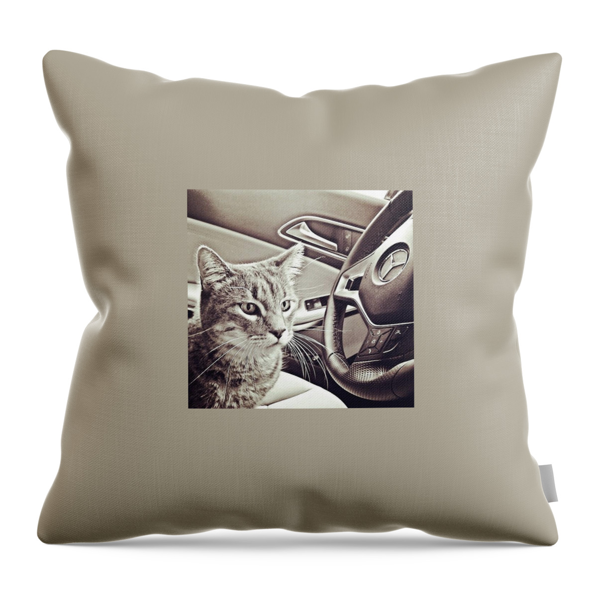 Beautiful Throw Pillow featuring the photograph Smokey Loves The Mercedes Cla Too! by Austin Tuxedo Cat