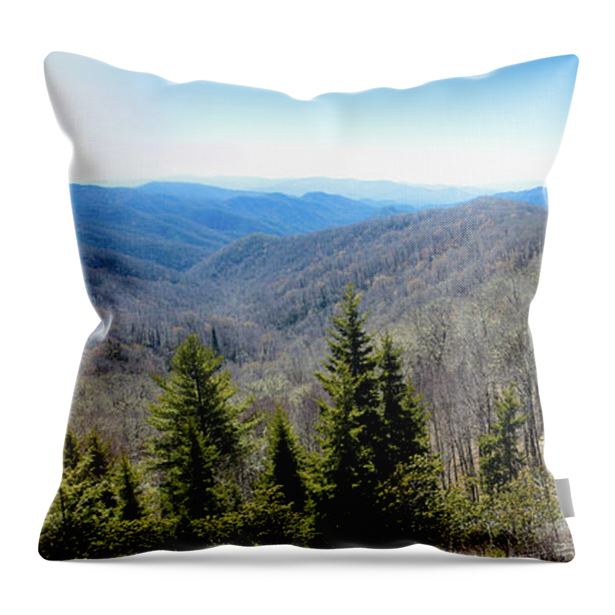 Smokey Mountains Throw Pillow featuring the photograph Smokey Mountains Pan by Lindsey Weimer