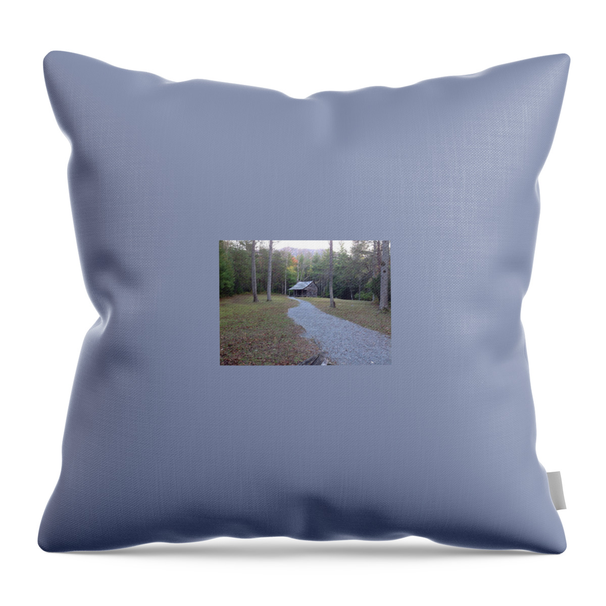 Smoky Mountains Throw Pillow featuring the photograph Smokies 3 by Val Oconnor