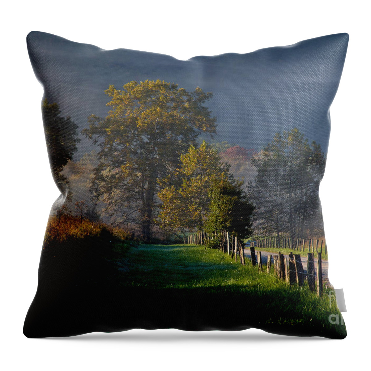 Cades Throw Pillow featuring the photograph Smoky Mountain Morning by Douglas Stucky