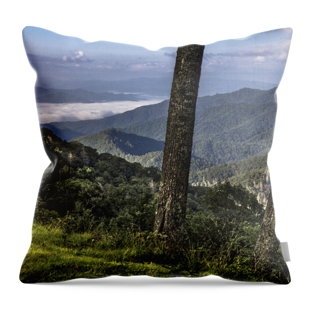 Smoky Mountains Throw Pillow featuring the photograph Smoky Mountain Ridge by John McGraw
