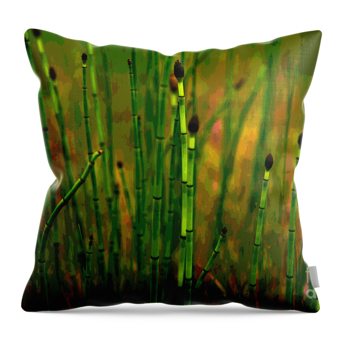 Grass Throw Pillow featuring the photograph Snake Grass by Barbara Schultheis