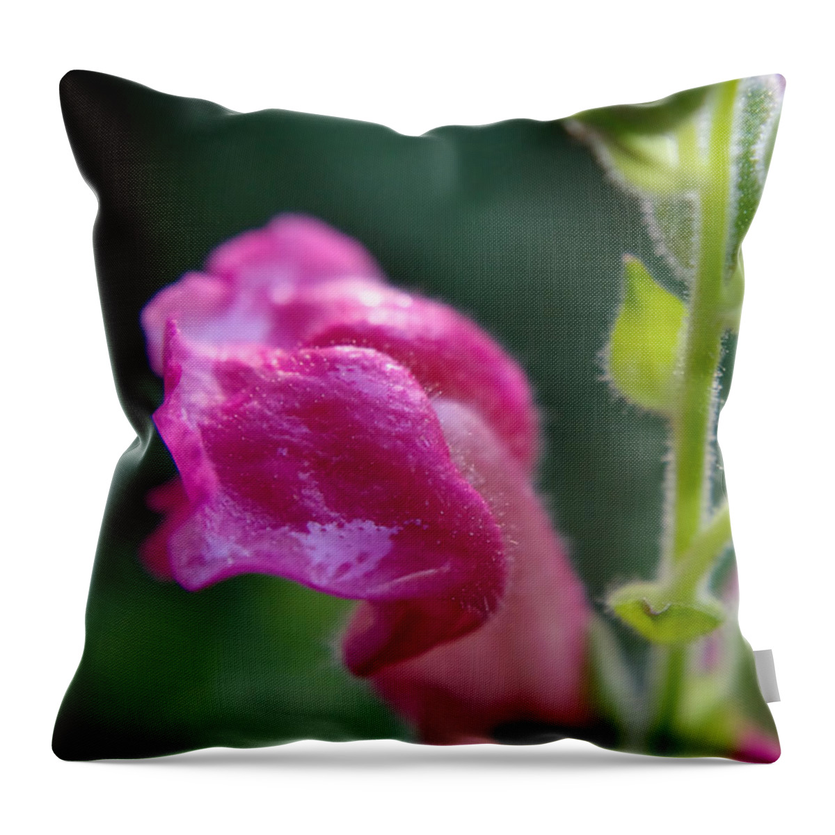 Adria Trail Throw Pillow featuring the photograph Snapdragon Hairs by Adria Trail
