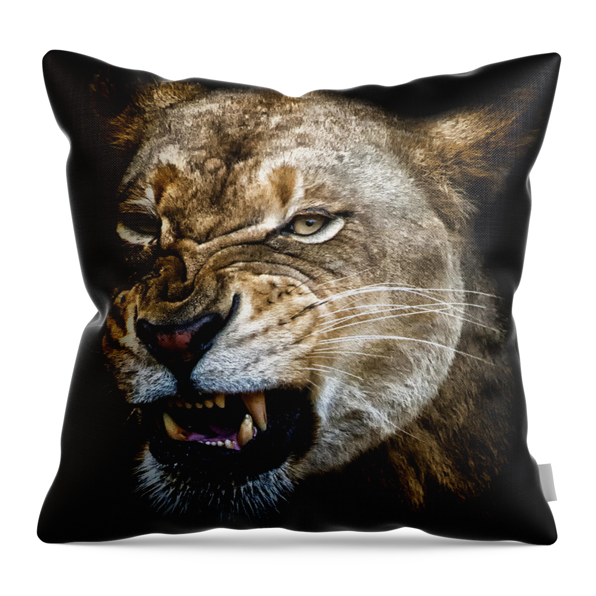 Crystal Yingling Throw Pillow featuring the photograph Snarl by Ghostwinds Photography