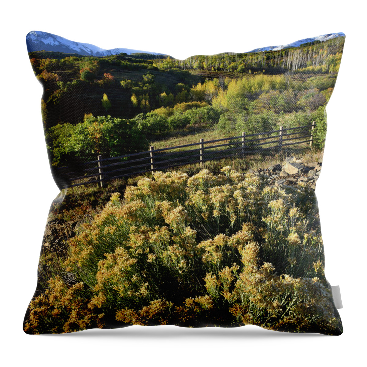 Colorado Throw Pillow featuring the photograph Sneffels Range from Dallas Divide by Ray Mathis