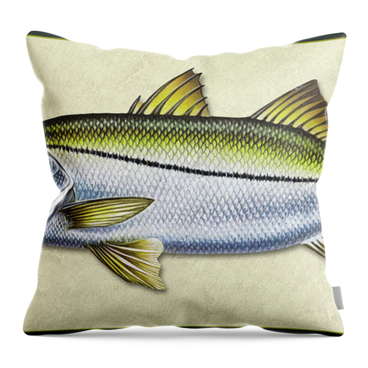 Jon Q Wright Snook Ocean Saltwater Gamefish Fishing Fish Print Fish Poster Lure Tackle Throw Pillow featuring the painting Snook ID by Jon Q Wright