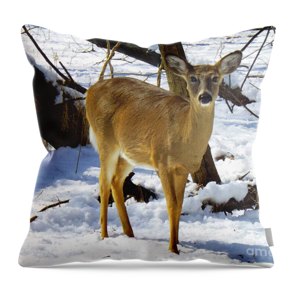 New Throw Pillow featuring the photograph Snow Angel by Robyn King