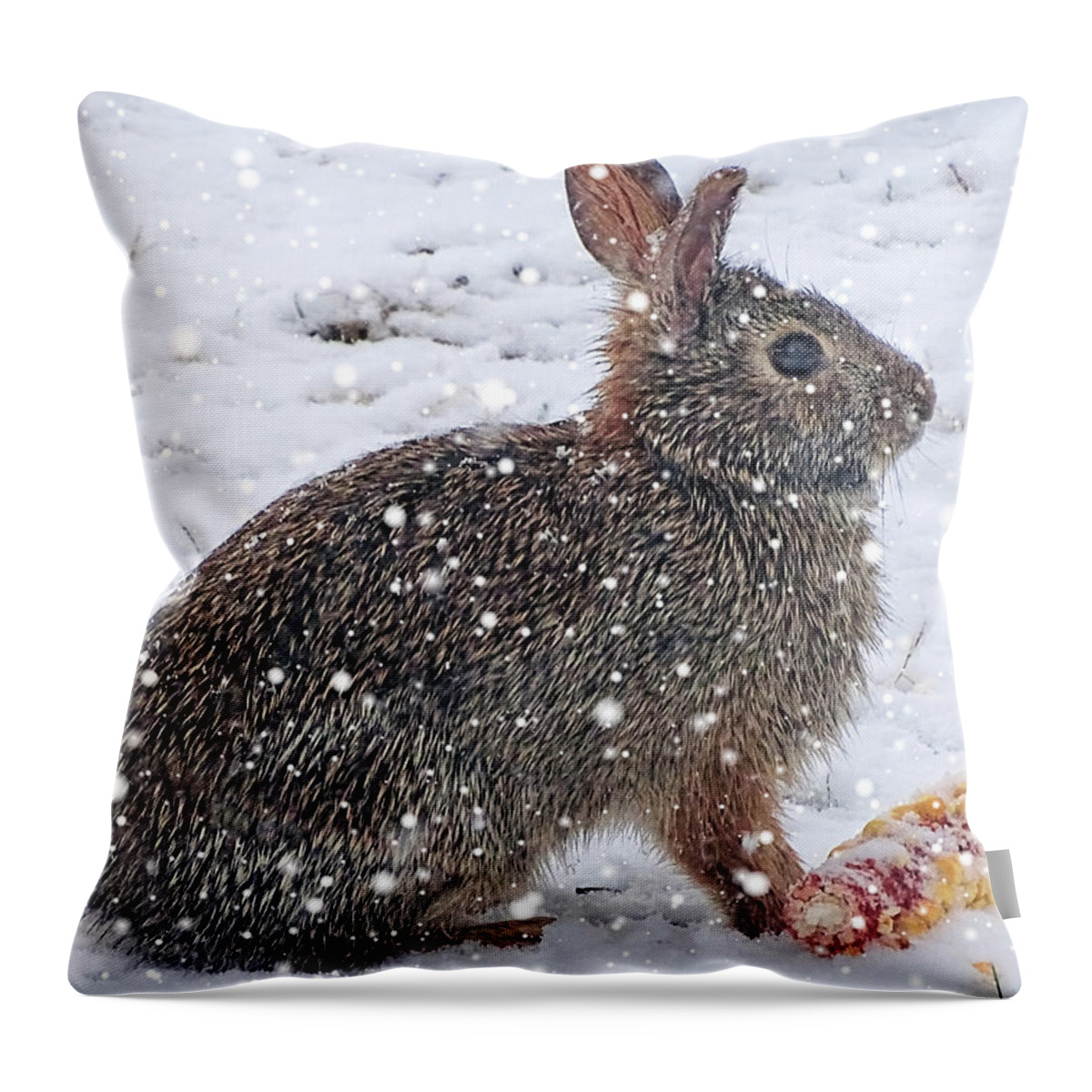 Bunny Throw Pillow featuring the photograph Snow Bunny by Theresa Campbell
