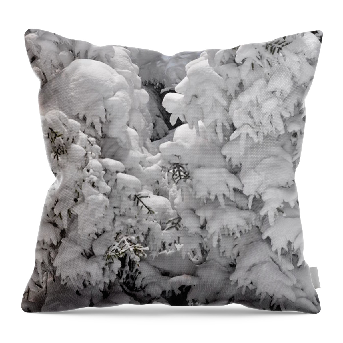 Snow Throw Pillow featuring the photograph Snow Coat by Alex Grichenko
