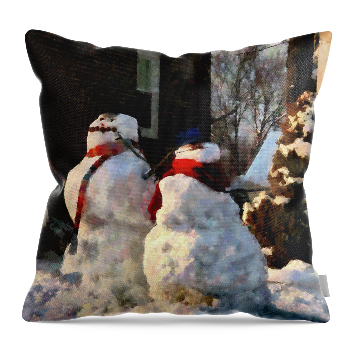 Winter Throw Pillow featuring the photograph Snow Couple by Susan Savad
