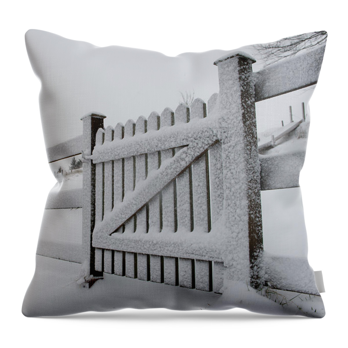 Snow Throw Pillow featuring the photograph Snow Covered Gate by Helen Jackson