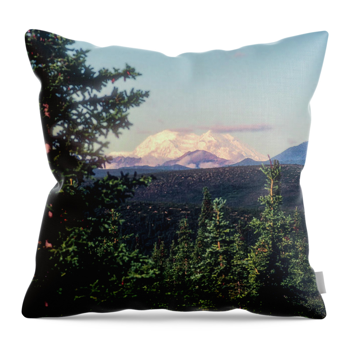Denali National Park Throw Pillow featuring the photograph Snow Covered Mt. McKinley by Bob Phillips