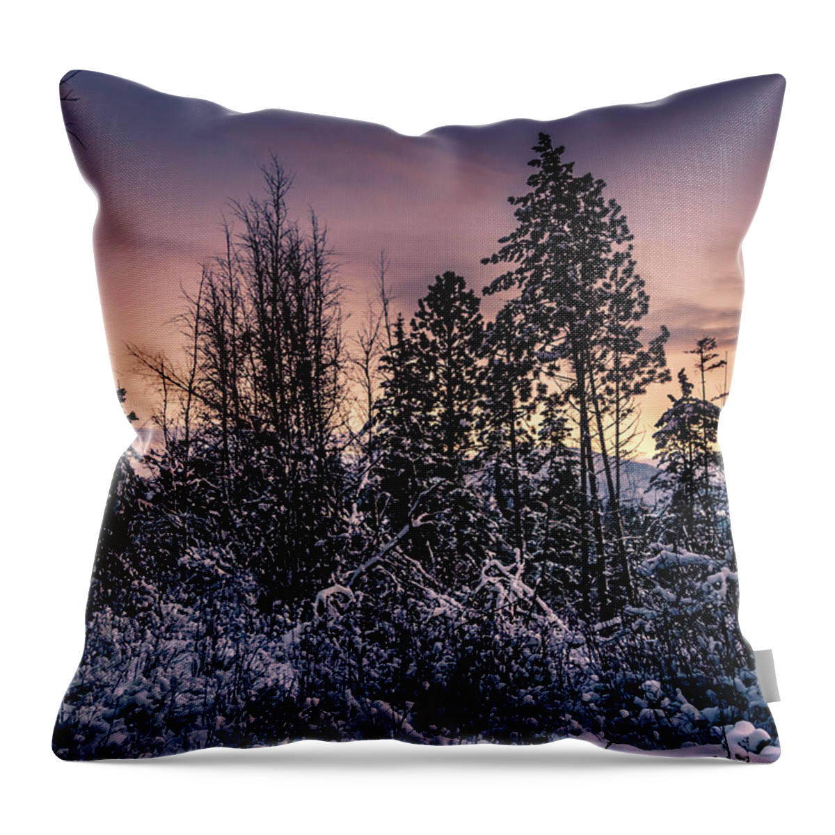 Photograph Throw Pillow featuring the photograph Snow Covered Pine Trees by Lester Plank