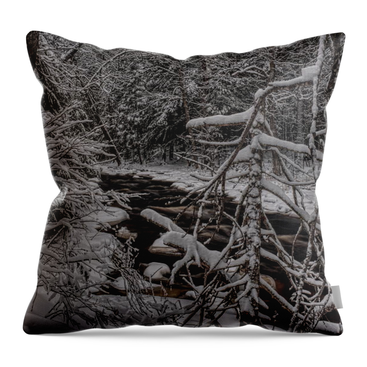 Prairie River Throw Pillow featuring the photograph Snow Covered Prairie River by Dale Kauzlaric