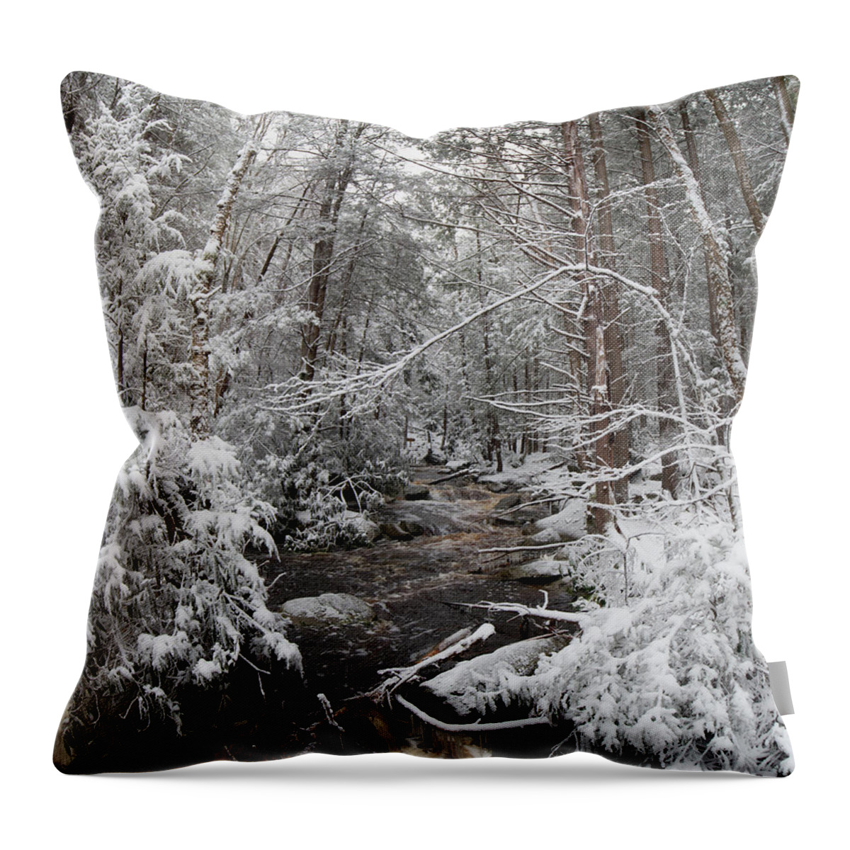 Snow Throw Pillow featuring the photograph Snow covered river by Jack Nevitt