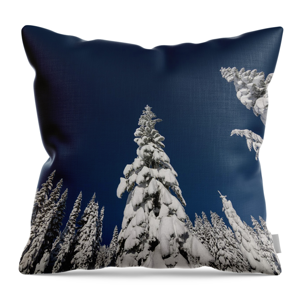 Tree Throw Pillow featuring the photograph Snow Covered Trees 2 by Pelo Blanco Photo