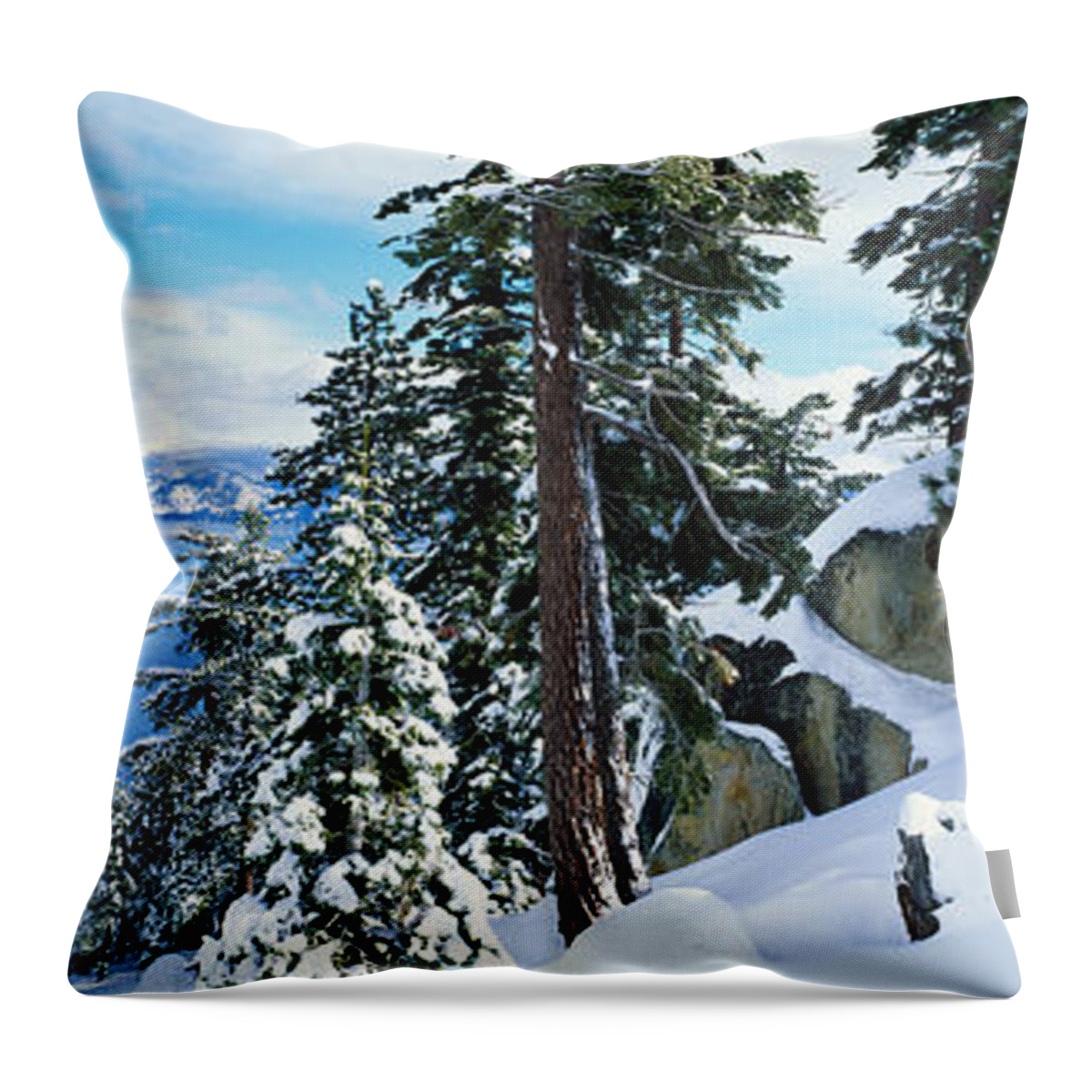 Photography Throw Pillow featuring the photograph Snow Covered Trees On Mountainside by Panoramic Images